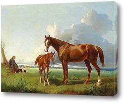   Постер Лошадь с жеребенком