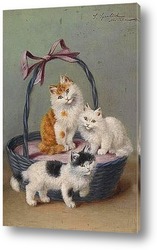   Постер Кошки в корзине