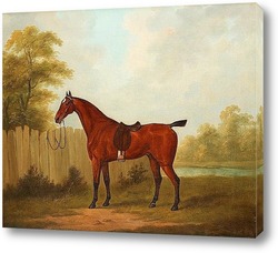  Картина Лошадь