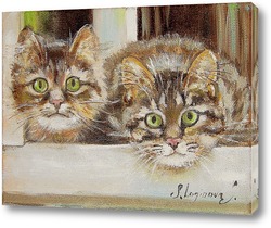   Постер Картина коты