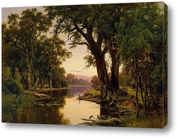   Картина Устье реки в Гоулберн.Виктория