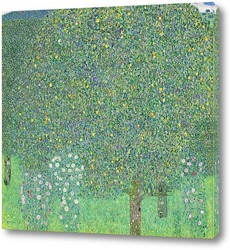   Картина Розовые кусты под деревьями, 1905