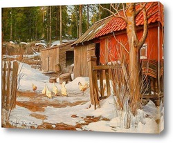   Постер Конец зимы, с хозяйственными постройками и клюют куры