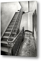   Постер Лестница в многоквартирном доме, Нью-Йорк, 1905