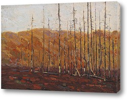   Картина Осень, Алгонкинский провинциальный парк, 1913