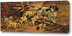   Постер Охотничья собака со щенками
