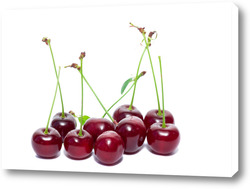    Cherry on a white background