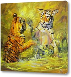    Тигрята принимают ванну