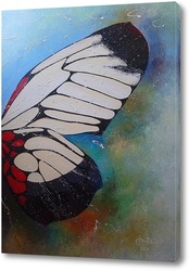   Постер Крыло бабочки