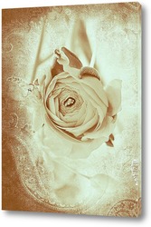   Постер Бежевая роза