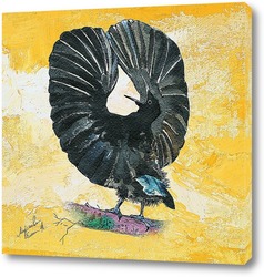   Постер Райская черная птица