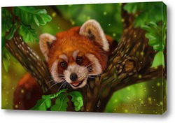   Картина Красная панда
