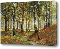  Осенний пейзаж леса