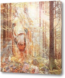   Постер Золотой лес