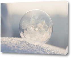   Постер Мыльный пузырь на снегу