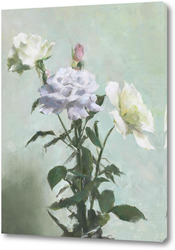    розы по Michael Klein