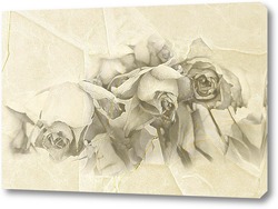   Постер Монохромные розы