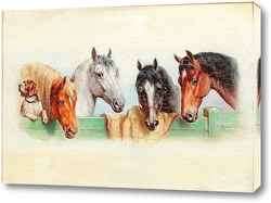   Постер Собака и четыре лошади