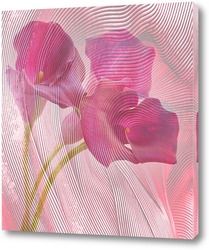   Постер Фиолетовая калла