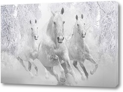   Постер Зимние лошади
