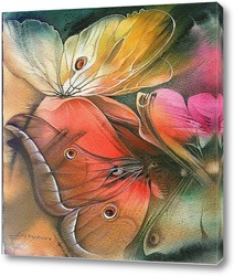   Постер бабочки