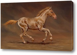   Постер Лошадь и песок