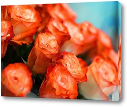   Постер Коралловые розы