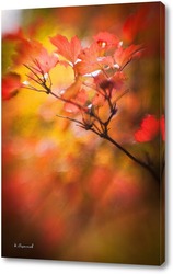   Постер Красные листья на фоне осеннего леса