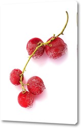   Постер Замороженные ягоды