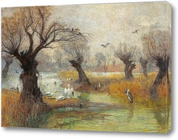   Картина Пеликаны на берегу реки