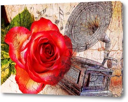   Постер Роза и патефон