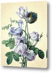   Постер Тюльпаны и розы