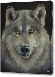   Картина Серый волк
