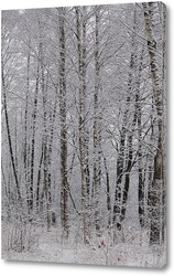   Постер зима в лесу