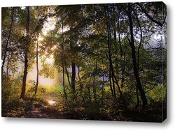   Постер Рассвет в лесу