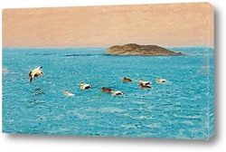   Постер Гаги в архипелаге