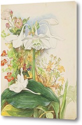   Картина Лилии и розы у крыльца. 
