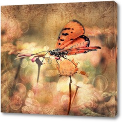   Постер Бабочка на поляне цветов