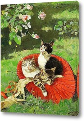   Постер Три кота в шляпе