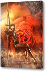   Постер Стрипденс в розах