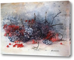   Картина Ветки черноплодной и калины