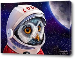   Постер Сова космонавт