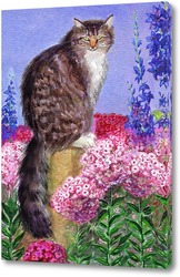   Постер кот в саду