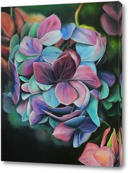   Постер Гортензия цветок