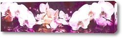 Розовая орхидея