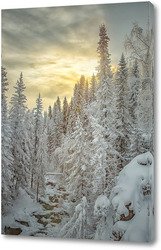   Постер Алтайский лес