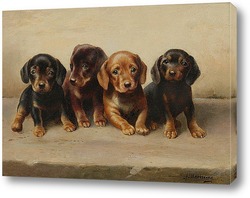   Картина Четыре щенка таксы