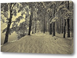  Ольховый зимний лес