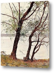   Картина Ольха на берегу