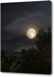   Постер Ночной пейзаж с полной луной